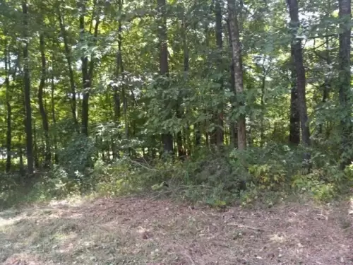 img#2604650-1
