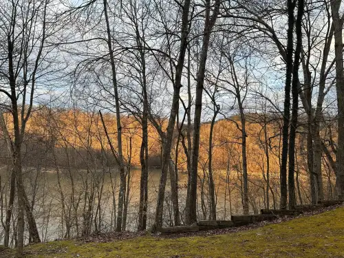 img#2797807-1