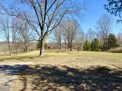 img#2803065-1
