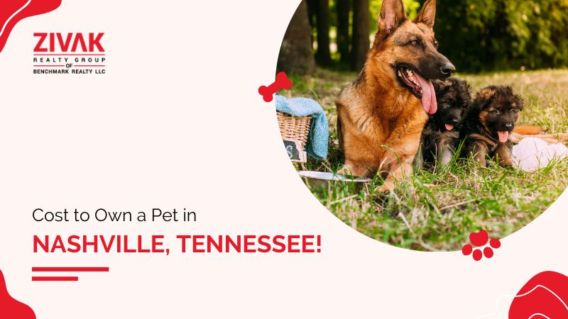 Own a Pet in Nashville Tennessee